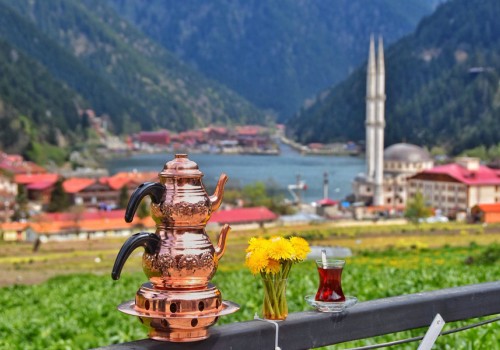 Karadeniz Yaylalarında Unutulmaz Bir Yaz Tatili: Doğanın Kucağında Serinlik ve Huzur