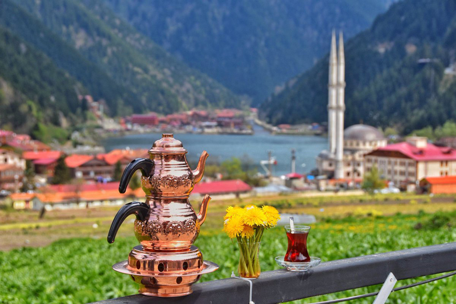 Karadeniz Yaylalarında Unutulmaz Bir Yaz Tatili: Doğanın Kucağında Serinlik ve Huzur