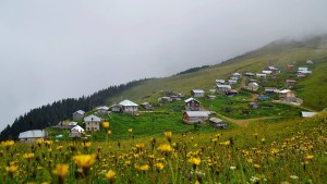 Gito - Badara Yaylası Turu