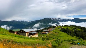Pokut - Huser Double Tur