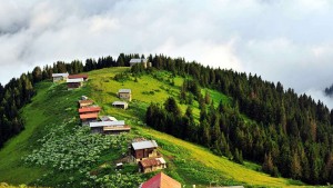 Pokut - Sal - Şenyuva Turu