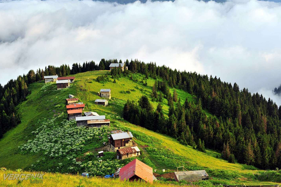 Pokut - Sal - Şenyuva Turu