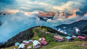Pokut - Sal - Şenyuva Turu