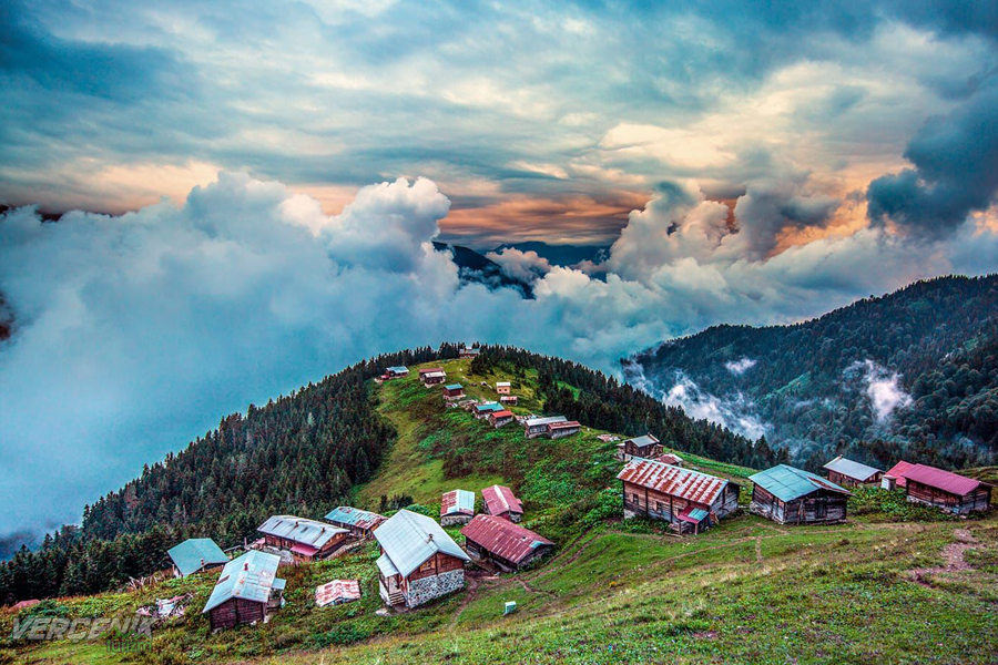 Pokut - Sal - Şenyuva Turu