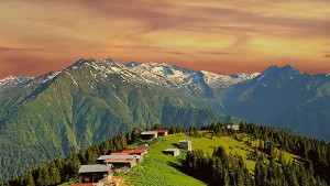 Pokut - Huser Double Tur