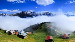 Pokut - Huser Double Tur