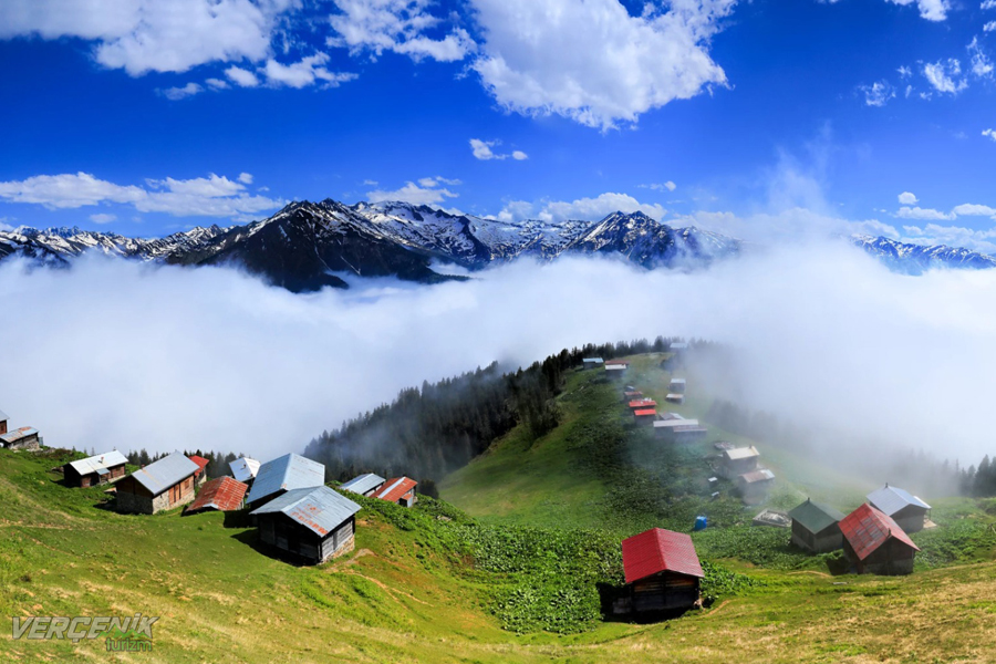 Pokut - Huser Double Tur