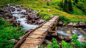 Ayder - Çat - Elevit - Şenyuva Turu