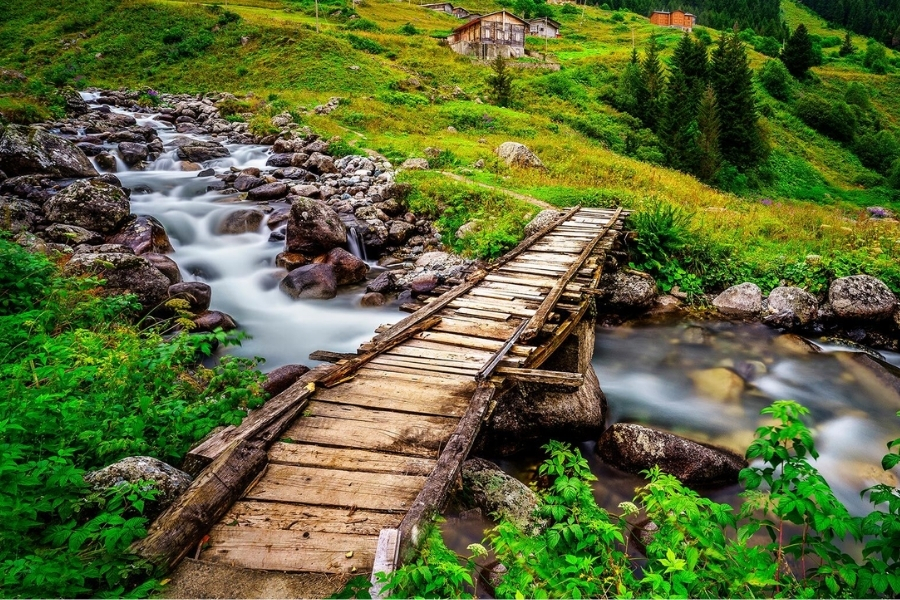 Ayder - Çat - Elevit - Şenyuva Turu