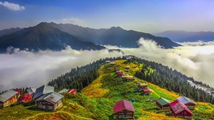Pokut - Sal - Şenyuva Turu