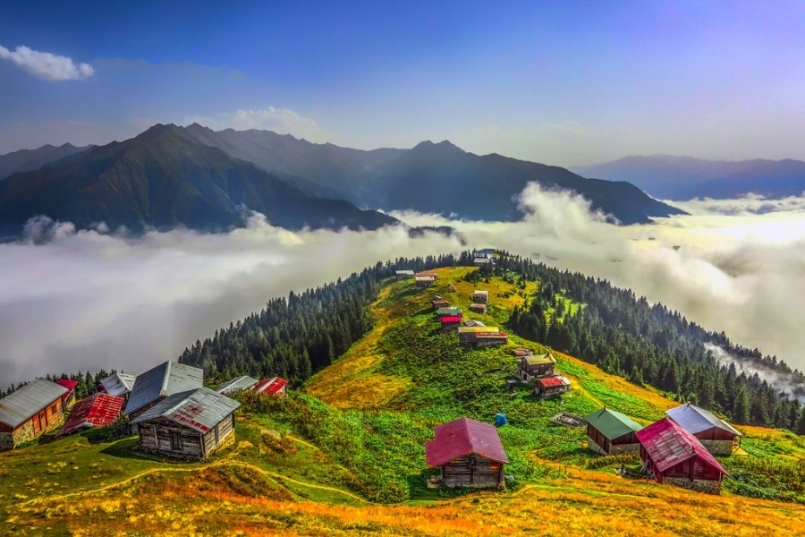 Pokut - Sal - Şenyuva Turu